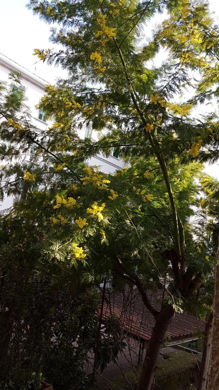 Il Giardino Di Vico Neve Panzió Nápoly Kültér fotó