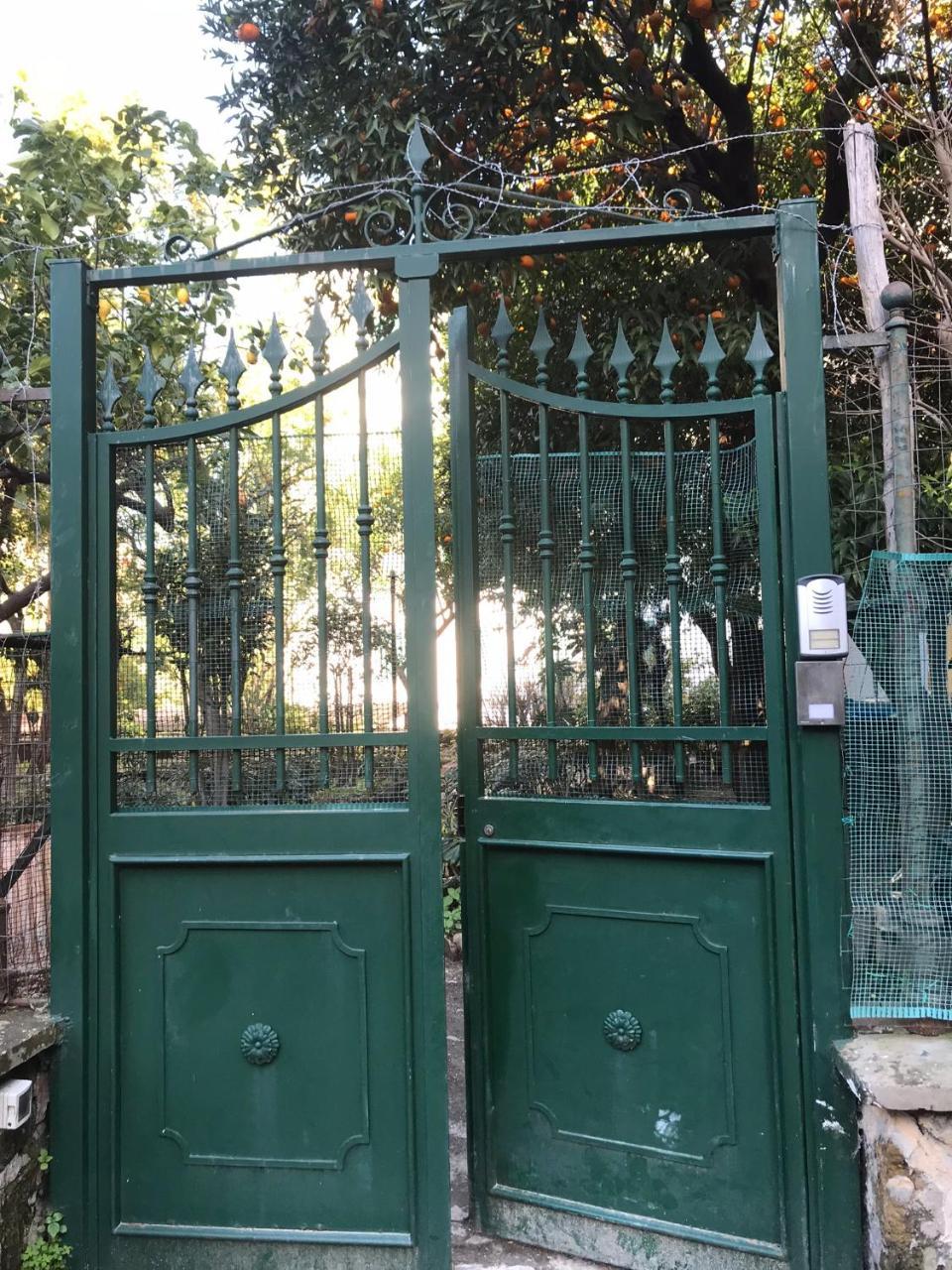 Il Giardino Di Vico Neve Panzió Nápoly Kültér fotó