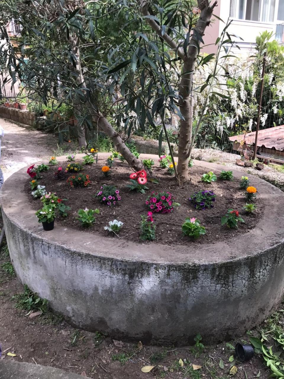 Il Giardino Di Vico Neve Panzió Nápoly Kültér fotó