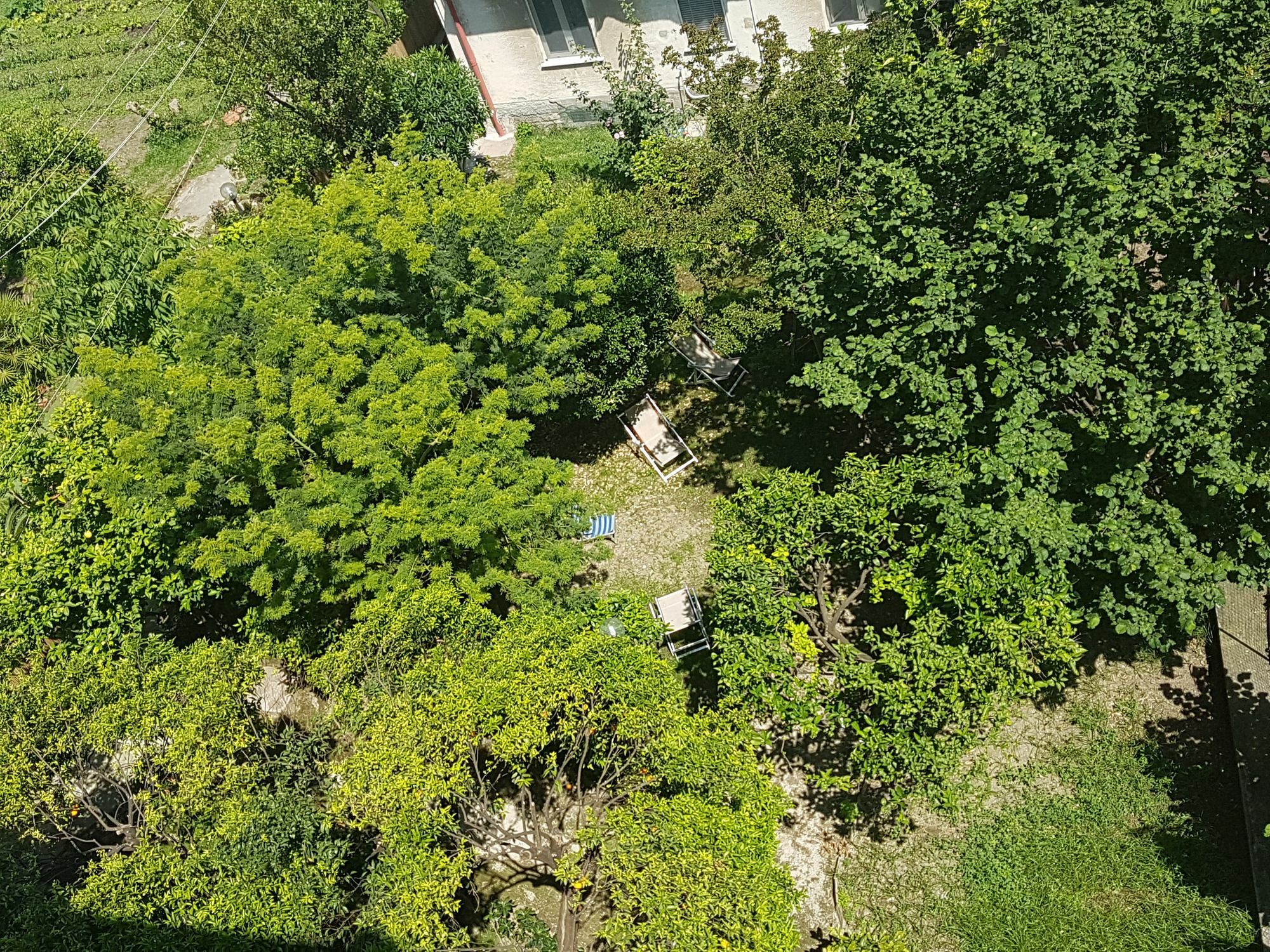 Il Giardino Di Vico Neve Panzió Nápoly Kültér fotó